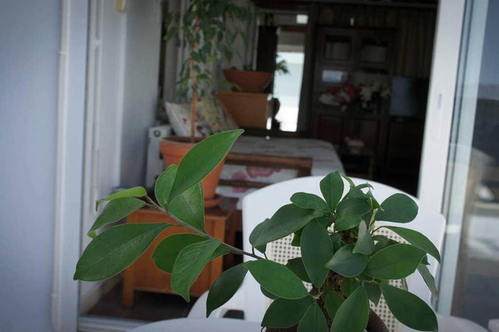 Stavros Amazing Apartment In The Centre Of Kos Eksteriør bilde
